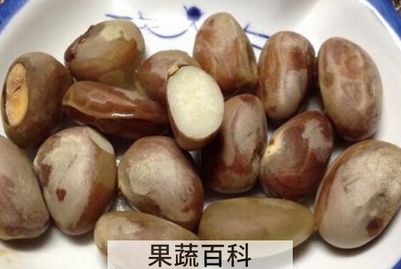 菠萝蜜籽如何吃 菠萝蜜籽的正确吃法