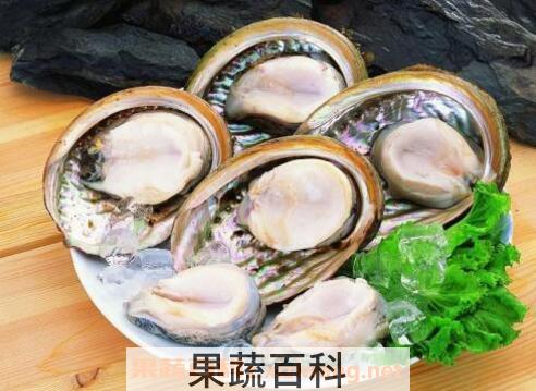 智利鲍鱼怎么吃 智利鲍鱼制作方法
