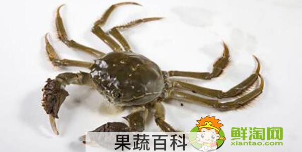 大闸蟹死了多久不能吃，大闸蟹不能和什么一起吃