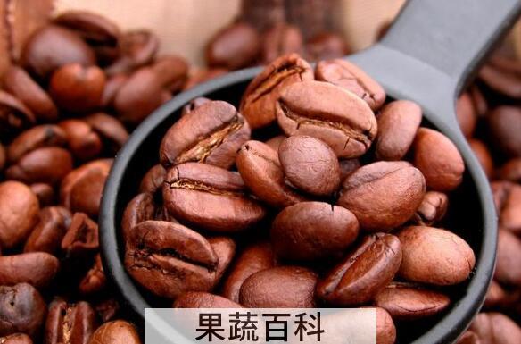 可可豆的功效与作用