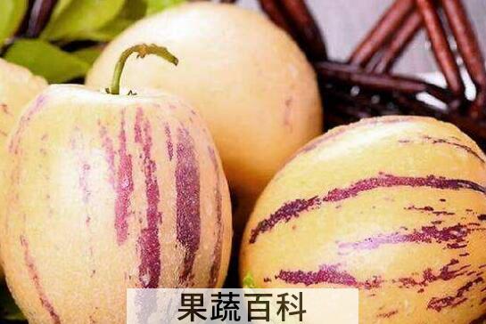 女生吃人参果的坏处与好处