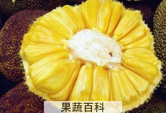 吃完菠萝蜜千万别碰5种食物