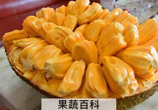 吃完菠萝蜜千万别碰5种食物