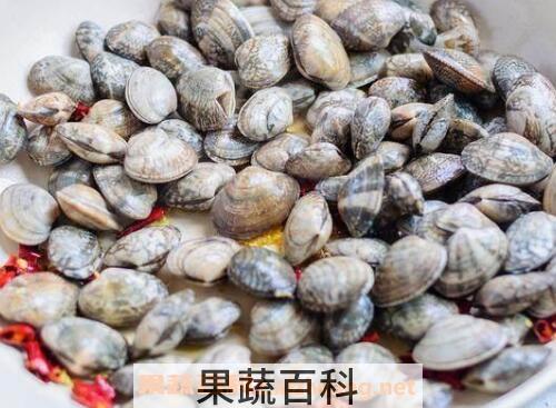 花蛤如何去沙 活花蛤吐沙最快的方法