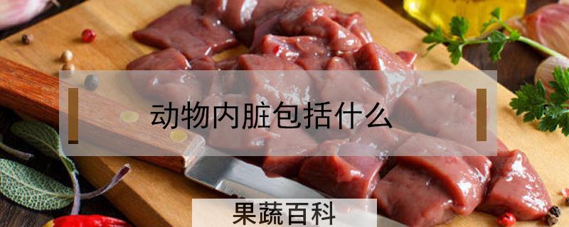 动物内脏包括什么