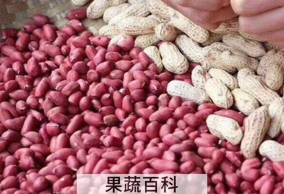 红皮花生米怎么吃补血