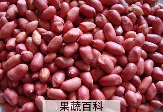 红皮花生米怎么吃补血