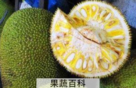 怎么剥菠萝蜜最快最方便