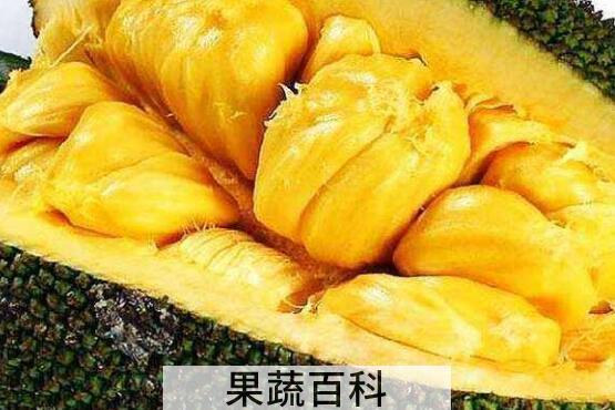 怎么剥菠萝蜜最快最方便