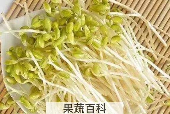  芽苗菜和豆芽的区别
