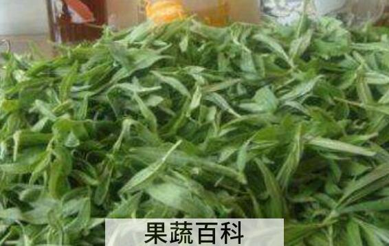 鸭嘴菜的功效与作用 鸭嘴菜的禁忌