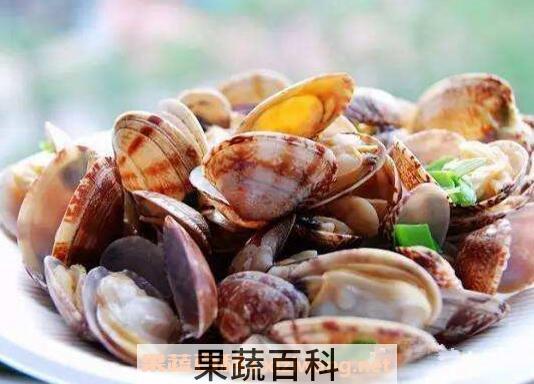 蛤蜊怎么洗 如何洗蛤蜊才能洗干净