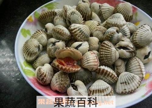 泥蚶的功效与作用