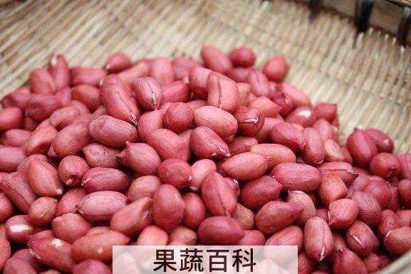红皮花生的功效与作用 经常吃红皮花生的好处