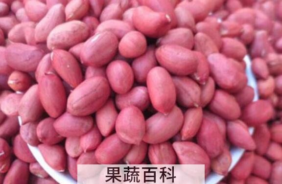 红皮花生的功效与作用 经常吃红皮花生的好处