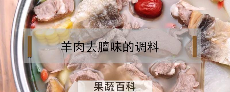 羊肉去膻味的调料