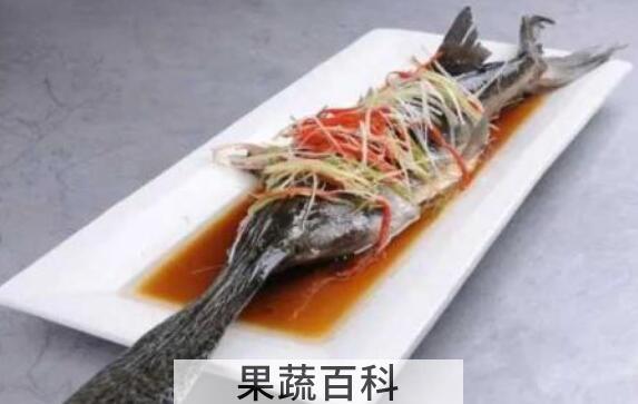 鸭嘴鱼怎么做好吃 鸭嘴鱼的吃法禁忌