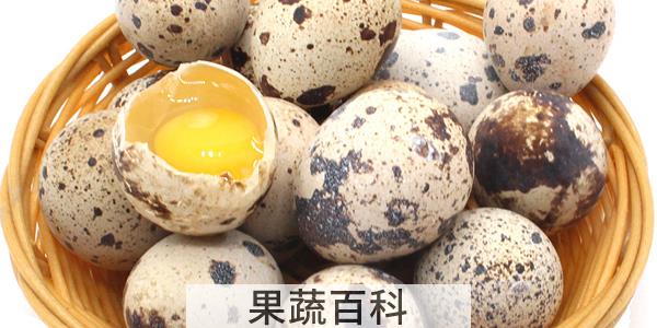 鹌鹑蛋与鸡蛋哪个更好