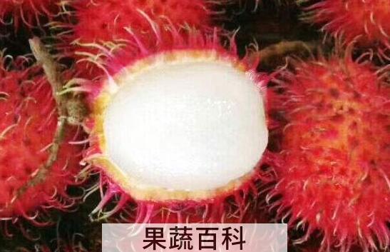 红毛丹怎么吃好 红毛丹的食用方法