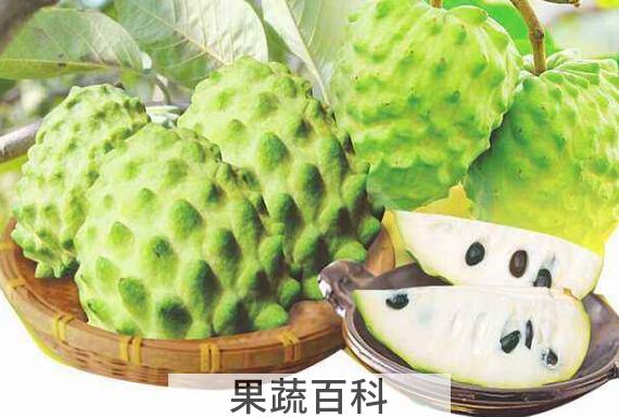 番荔枝和释迦的区别 吃番荔枝的好处