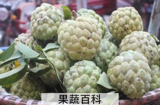番荔枝和释迦的区别 吃番荔枝的好处