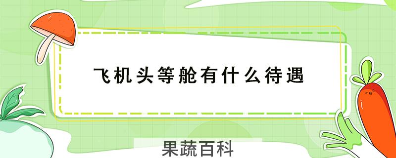飞机头等舱有什么待遇