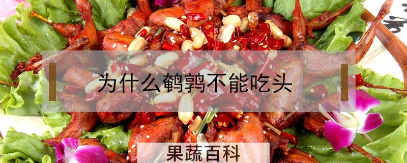 为什么鹌鹑不能吃头