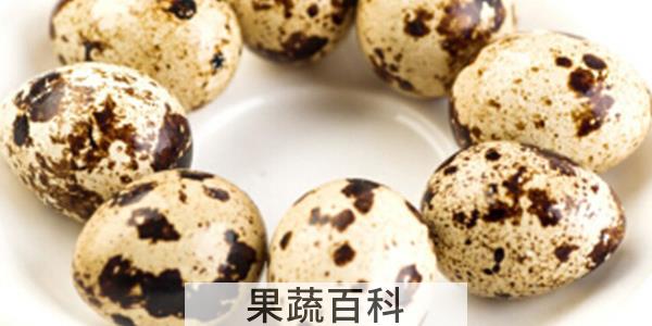 鹌鹑蛋一天吃几个合适