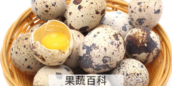 鹌鹑蛋一天吃几个合适
