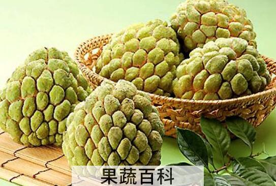 释迦果怎么吃 释迦果的正确吃法图解