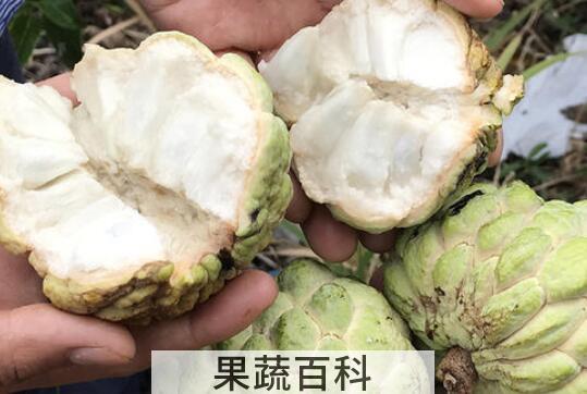 释迦果的营养价值与功效