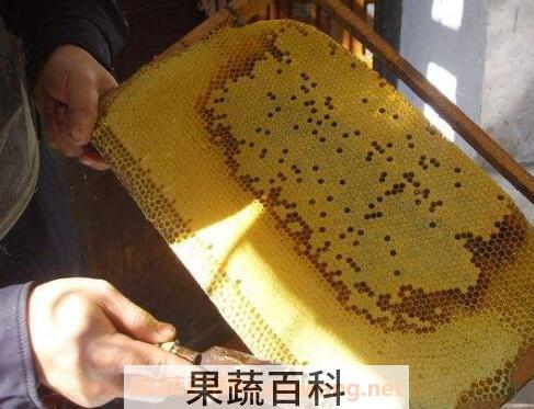 如何将蜂蜜与蜂蜡分离 蜂蜡的用途