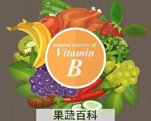 维生素b族