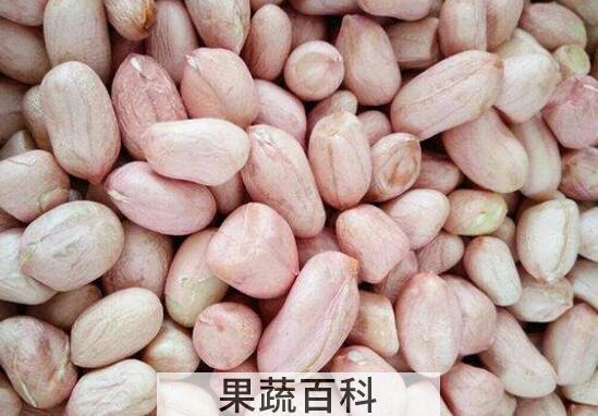 白皮花生的功效与作用