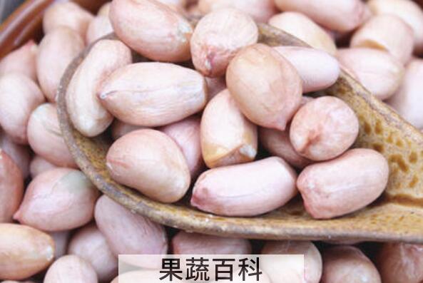 白皮花生的功效与作用