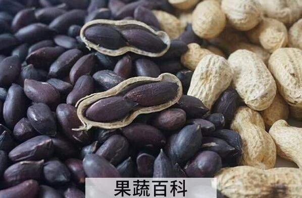 黑花生的功效与作用