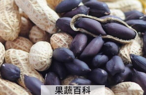 黑花生的功效与作用