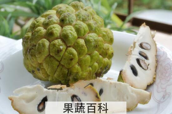 千万不要吃释迦果 这是什么原因