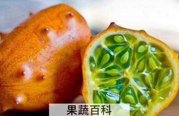 十大最难吃的水果
