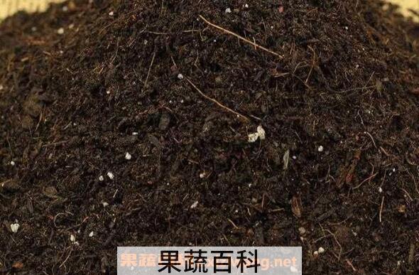 花土怎么配 最简单的多肉植物配土方法