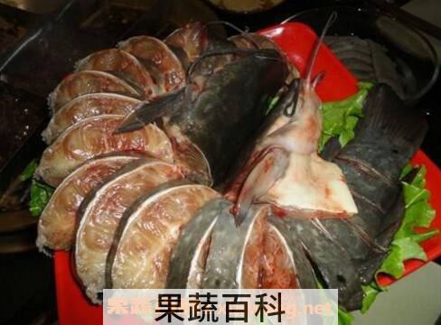 什么是梭边鱼 梭边鱼的功效与作用