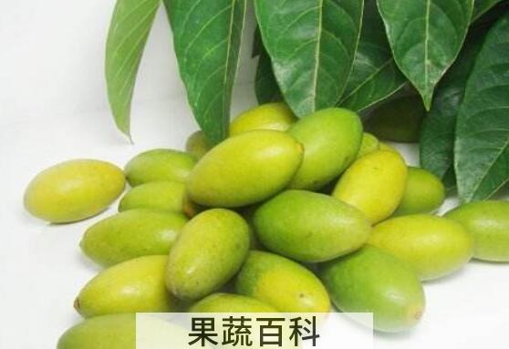檀香橄榄的功效与作用及禁忌