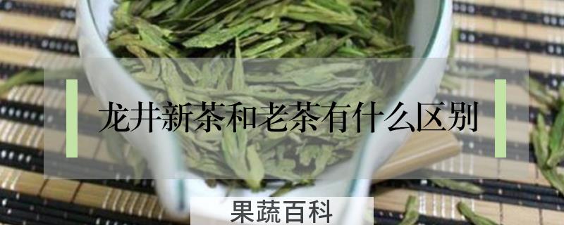 龙井新茶和老茶有什么区别