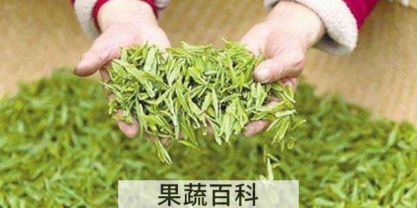 龙井新茶和老茶有什么区别