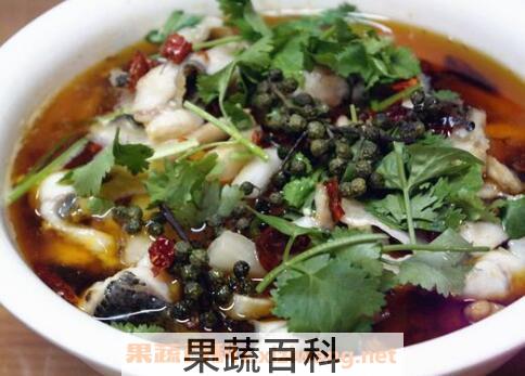 乌江鱼和鲶鱼怎么区分 乌江鱼是鲶鱼的一种吗