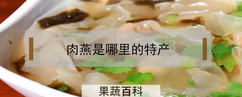 肉燕是哪里的特产