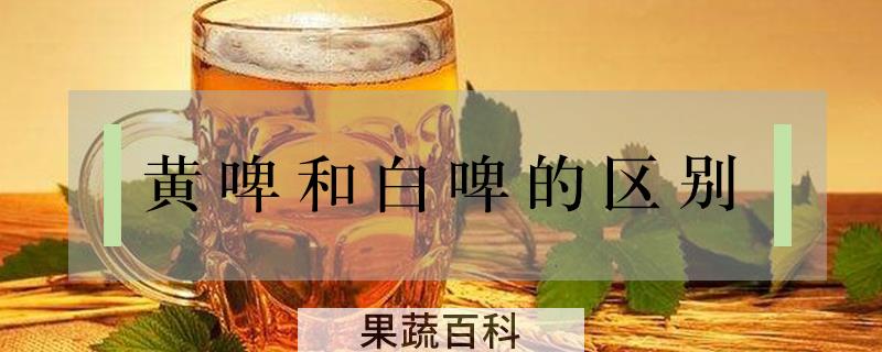 黄啤和白啤的区别