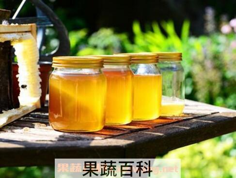 吃蜂蜜会减肥吗 蜂蜜减肥的正确吃法
