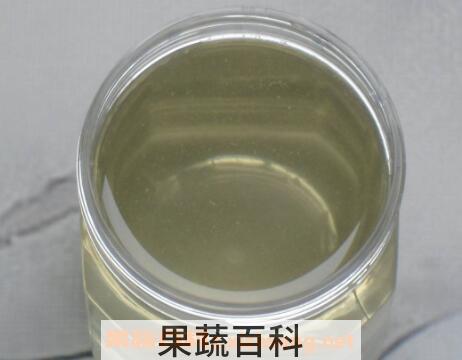 洋槐花蜂蜜的功效与作用及药用价值