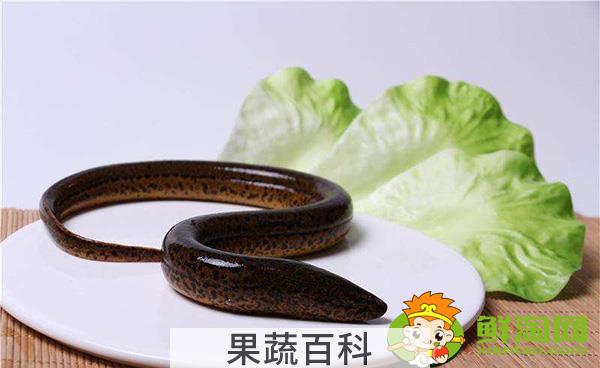 望月鳝和黄鳝的区别，万一吃到望月鳝怎么办